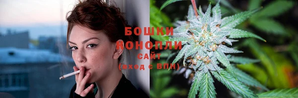 тгк Медногорск