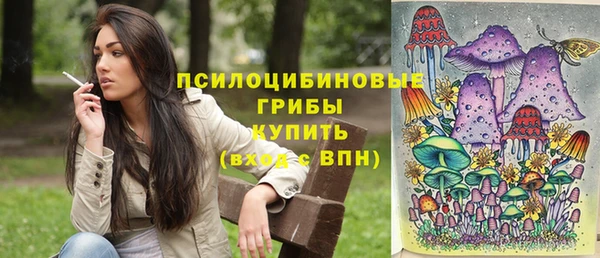 тгк Медногорск