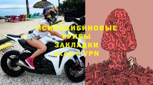 тгк Медногорск