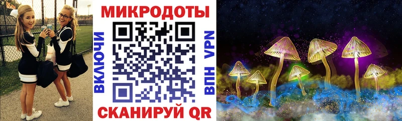 Галлюциногенные грибы Psilocybine cubensis Ачхой-Мартан